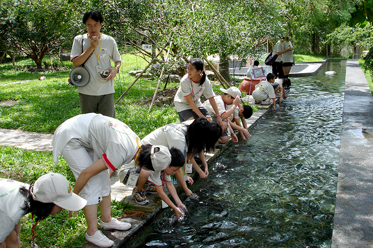 涉水步道